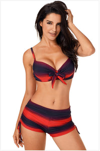 Red Ombre Shading Stripes Bikini Set